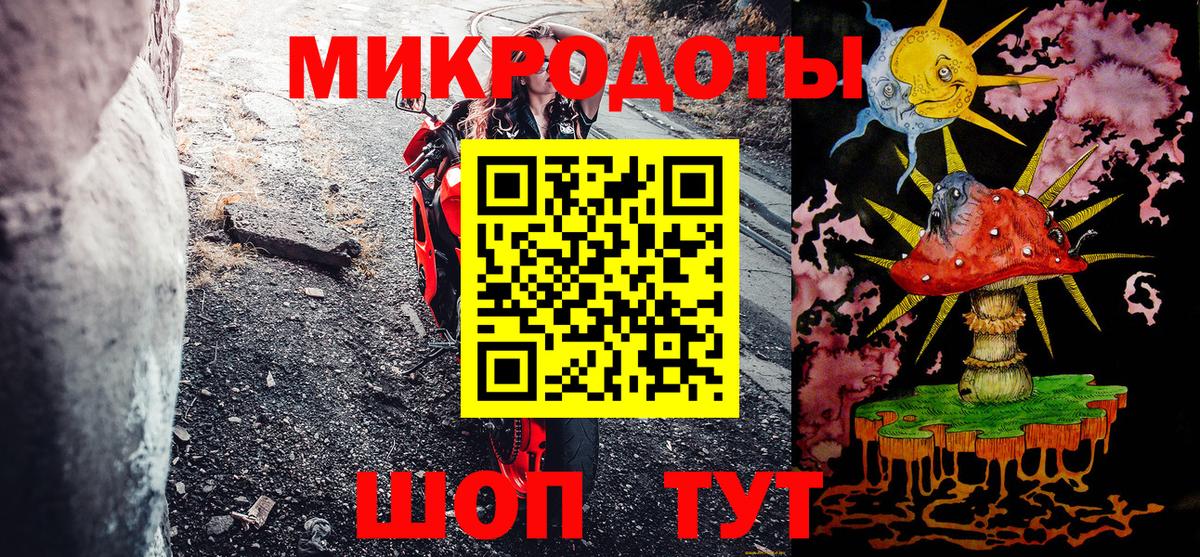 Галлюциногенные грибы Psilocybe Тихорецк