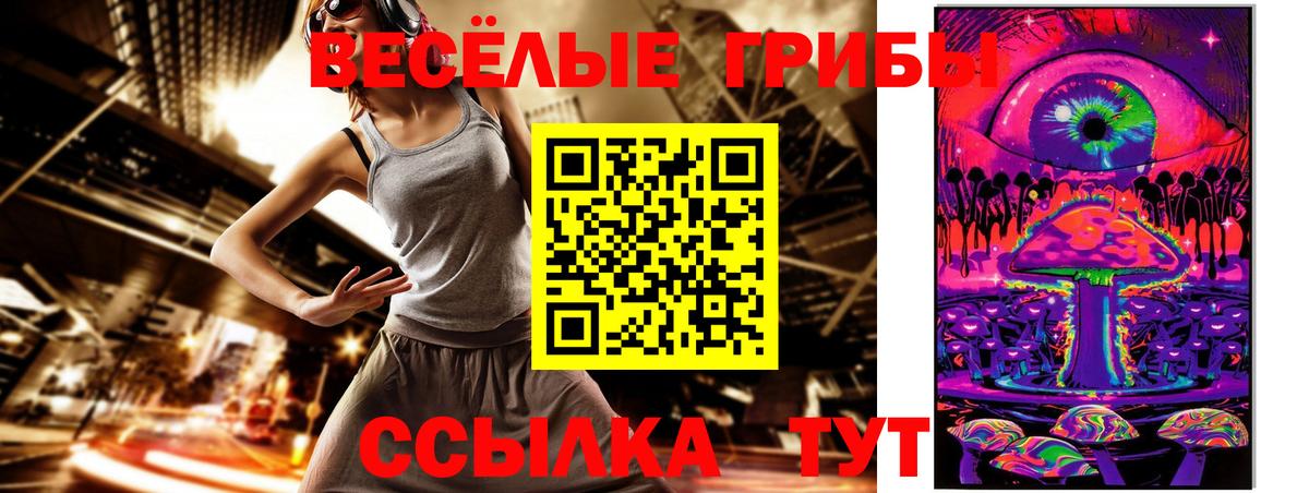 Галлюциногенные грибы MAGIC MUSHROOMS  Вход с VPN  Тихорецк 